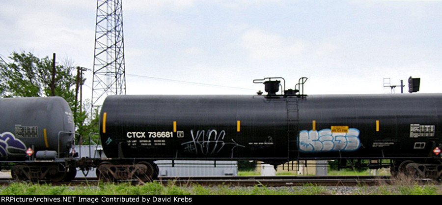 CTCX 736681